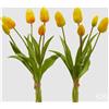 EDG Enzo De Gasperi Bouquet di 5 Tulipani Olis Ass. H 40 Cm Yellow 1 Pz