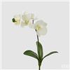 EDG Enzo De Gasperi Orchidea Phalaenopsis con Foglie H 37 Cm Bianco