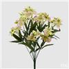 EDG Enzo De Gasperi Orchidea Elis Cespuglio 12 Rami H 55 Cm Violet