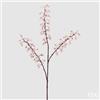 EDG Enzo De Gasperi Heuchera Rex 3 Rami H 112 Cm Bianco Rosa