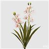 EDG Enzo De Gasperi Orchidea Cymbidium Real H 59 Cm Bianco Rosa