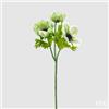EDG Enzo De Gasperi Anemone Rex 3 Rami H 46 Cm Verde Chiaro
