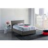 Dmora Talamo Italia Letto contenitore Una piazza e mezza Anna, Made in Italy, Letto con rivestimento in tessuto, Apertura frontale, con materasso cm 120x200 incluso, Grigio