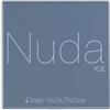 Diego Dalla Palma Nuda Palette Occhi 304 Ice