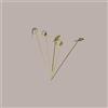 LUCGEL SRL 300 Pezzi Ricciolo Spiedino Knot cm10,5 Natural Bamboo Legno