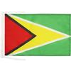 AZ FLAG Bandiera Guyana 45x30 cm Guyana Poliestere 100D Cordini | Uso interno ed esterno bandiera decorativa doppie cuciture e bordi rinforzati