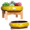 ARTKETTY Vasi per piante da interni, 18,5/25 cm, grandi vasi bonsai con vassoi, set di 2, vasi colorati per piante grasse, vasi in ceramica per piante di cactus, vaso da fiori decorativo da giardino