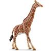 SCHLEICH GMBH MODELLINO 14749 GIRAFFA MASCHIO