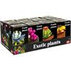 NICE SRL Nice Mattoncini Exotic Plants - Set Costruzione Piante Esotiche Assortite