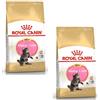 Royal Canin Maine Coon Kitten | Confezione Doppia | 2 x 400 g | Cibo secco per gatti | Specifico per cuccioli di gatto Maine Coon | Per favorire la digestione e il sistema immunitario