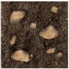 Vialca Terriccio Specifico per Cappero - Miscela Perfetta per Piantare e Rinvasare Piante di Cappero - Misto Torba e Tufo/Sabbia - 4L