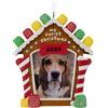 Hallmark My Fur-st Christmas 2024 - Cornice portafoto natalizia