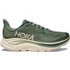 HOKA CLIFTON 10