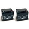 Quality Batteries Batteria di ricambio per Invacare G2000 2 pezzi Q-Batteries 12LCP-50 12V 50Ah AGM