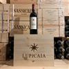 Castello del Terriccio Lupicaia 2019 IGT Toscana Rosso Castello del Terriccio - Cassa Legno 6 Bottiglie