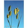 NATUR Srl QUAKING GRASS ESS 7,5ML CALF