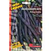 Magnani Fagiolo rampicante trionfo violetto 100 g