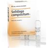 Guna Solidago Compositum 10 Fiale