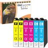 LOSMANN D&C 6x Cartucce d'inchiostro compatibili per Epson 603 XL per Epson Expression Home XP-2100 XP-2105 XP-3100 XP-3105 XP-4100 XP-4105 Epson WorkForce WF-2810DWF WF-2830DWF WF-2835DWF WF-2850