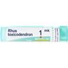 BOIRON Srl Rhus Toxicodendron 1000K Boiron 80 Granuli
