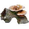 Nobby Legno Grotta con Funghi Ornamenti per Acquario, 18 x 19 x 10 cm