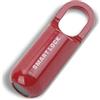 Semme Blocco delle Impronte Digitali, Lucchetto Senza Chiave Ricaricabile USB, Serrature Elettroniche Intelligenti con capacità di Impronte Digitali di 10 Pezzi, Sicurezza Antifurto (Rosso)
