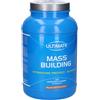 Ultimate Mass Building Nocciola 1800 g Polvere per soluzione orale