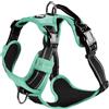 Bobby Rando Walk - Pettorina per cani Taglia XS, in Nylon Riflettente, Fibbie Regolabili a Chiusura Sicura, Facile da Indossare, Blu Girocollo 20-32 cm, Giropetto 36-43 cm