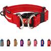 EZYDOG Collare per cani double up | Collare per cani di taglia piccola, media, grande, collare riflettente per cani, comfort supremo, morbido materiale in neoprene, resistente fettuccia in nylon (piccolo, rosso)