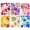 YoothBro 148 Pezzi Di Fiori Pressati Secchi Veri Naturali Per Stampi in Resina, Set Di Adesivi Trasparenti per Pressatura a Secco Floreale con Farfalla Eternity Summer