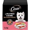 Cesar Cibo secco per cani adulti con Pollo Fresco, Salmone e Verdure - 5 Confezioni da 1.4Kg