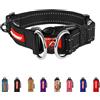 EzyDog ZYDOG - Collare per cani doppio, taglia piccola, media, grande, collare per cani riflettente, comfort supremo, morbido neoprene, resistente fettuccia in nylon (XL, nero)