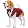 Kuoser Set smoking e bandana per cani, abbigliamento per animali domestici, cappotto per cani con papillon rimovibile, camicia per cuccioli per matrimoni, Halloween, feste di compleanno, S-XXL