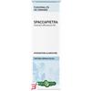 ERBA VITA GROUP SPA SPACCAPIETRA TINTURA IDROALCOLICA 50 ML EBV