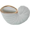 DRW Centro a Forma di Conchiglia in Ceramica in Bianco e Oro Sabbia 120x30x80 cm
