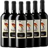 CAVAZZA SS AGRICOLA CAVAZZA CICOGNA SYRAH VENETO IGT [ 6 Bottiglie x 750 mℓ ] (2017)