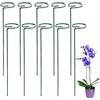 Pyuyan 10 Pezzi 40cm Supporto per Stelo Singolo da Giardino, Anello di Sostegno per Piante, Paletti di Sostegno per Piante, per Fiori, Pomodori, Gigli, Peonie, Rose