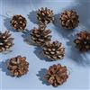 DAHI 36 Pz Pigne di Natale Naturali, 3-4 cm Mini, da Appendere, per Albero di Natale, Decorazioni Autunnali e Invernali
