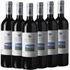TENUTA DELL'ORNELLAIA ORNELLAIA LE VOLTE TOSCANA [ 6 Bottiglie x 750ml ]
