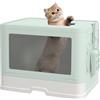 PawHut Lettiera per Gatti Chiusa con Coperchio e Doppia Entrata, Cassetto Estraibile, Paletta e Spazzola, Verde | Aosom Italy