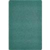 andiamo Tappeto Grotone per soggiorno, camera da letto, sala da pranzo e corridoio, facile da pulire, resistente, per ufficio, 160 x 240 cm, colore verde