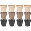 PARENCE - Set di 12 vasi da fiori e talee - Mix di colori - Ideale per piccole piante, talee o erbe aromatiche - Vaso in PP resistente - Interno o esterno