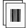 MCS Foundry - Cornice da parete in metallo, 35,5 x 45,7 cm, opaca, 20 x 25 cm, confezione da 2, colore: Nero