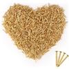dsDAEDK Unghie dorate a testa tonda, 1500 pezzi, piccole unghie dorate, 1 x 10 mm, in ottone, testa rotonda, piccole unghie in legno per lavori fai da te, fissaggio di mobili (dorati)