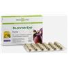 Buonerbe Bios Line Buonerbe Forte Integratore Stipsi 30 Compresse