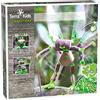 HABA - Terra Kids Connectors - Kit Eroi della Foresta - Gioco da Esterno - Gioco di Costruzione in Legno - 8 Anni in più - 306308, Verde