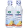 ESI Srl ESI Diurerbe Forte Drenante Estate Gusto Ananas Pack Doppio 2x500 ml Soluzione orale