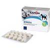 CAMON Immodula 60 compresse - CAMON - 974645362