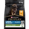 PURINA PRO PLAN Healthy Start Large Robust Crocchette per Cani Cuccioli con Pollo Sacco da 12kg