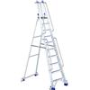 Svelt Regina 4WD VIP 10 - Scala 10 GradinI con Ruote e Corrimano EN131